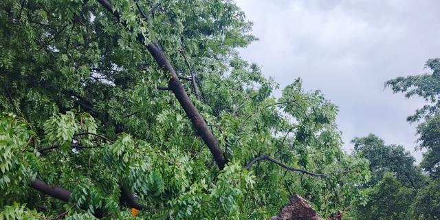 Amukan Angin Setengah Jam di Ujungberung Bandung Bikin Rumah Rusak dan Pohon Tumbang