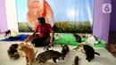 Bimbim memberi makan kucing-kucing disabilitas di Rumah Blendy untuk Kucing Disabilitas di kawasan Sawangan, Depok, Jawa Barat, Kamis (15/12/2021). Rumah Blendy untuk Kucing Disabilitas menampung sekitar 70 kucing yang cacat dan terlantar. (merdeka.com/Arie Basuki)
