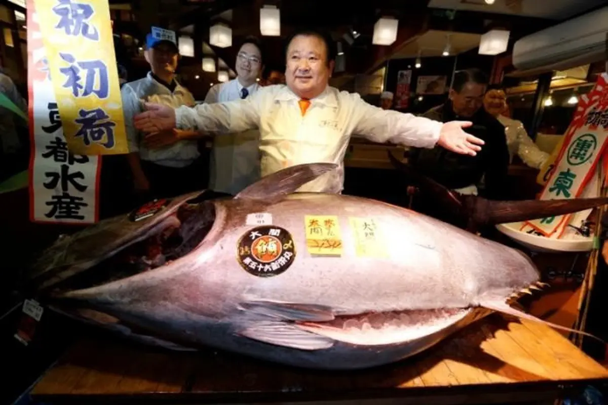 Ikan tuna langka Rp 8,1 Miliar (foto: reuters)