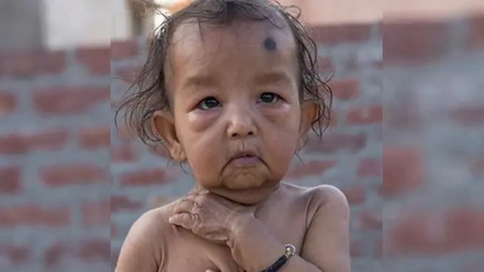 Photo: Copyright dailymail.co.uk