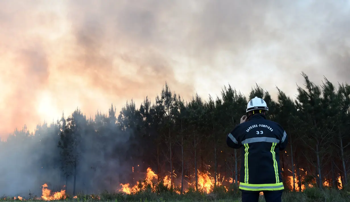 Kebakaran hutan terjadi di Cissac-Medoc, Prancis, Kamis (21/4). Penyebab kebakaran masih dalam tahap penyelidikan. (PHOTO PHOTO / MEHDI FEDOUACH)