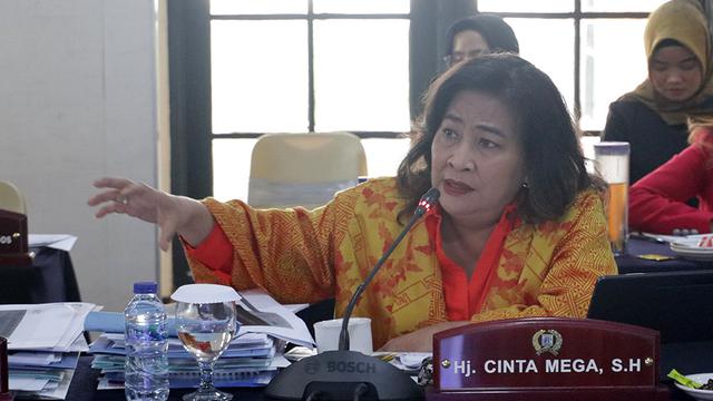 Anggota DPRD DKI Jakarta Cinta Mega (sumber: dprd-dkijakartaprov.go.id)