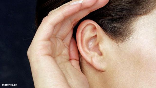 Di disebut bunyi telinga kita terdengar yang lemah Rangkuman dan