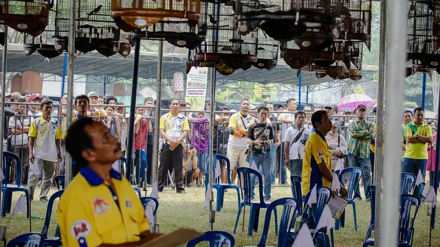 Pameran Burung Berkicau