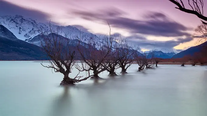 [Bintang] Selandia Baru