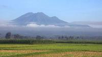 Inilah gunung Kawi yang konon katanya dipotret Kartono dari udara ©HaloMalang
