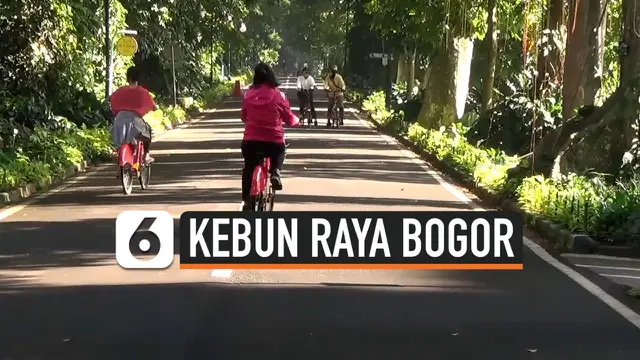 VIDEO: Tutup Empat Bulan, Kebun Raya Bogor Kembali Dibuka