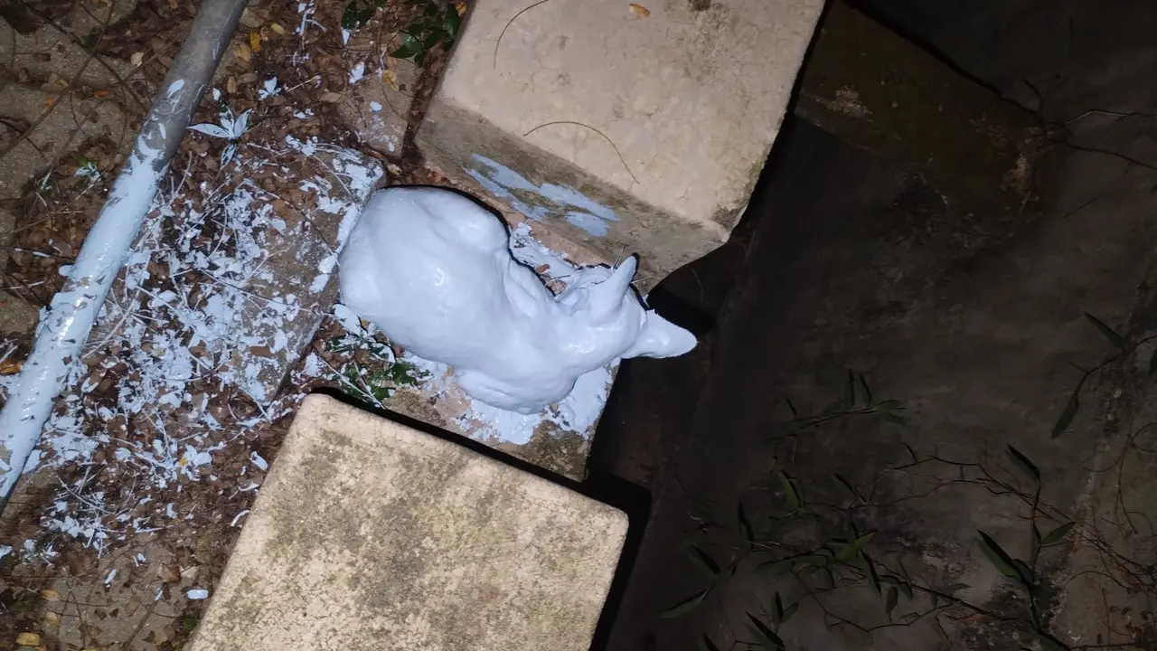 Kucing