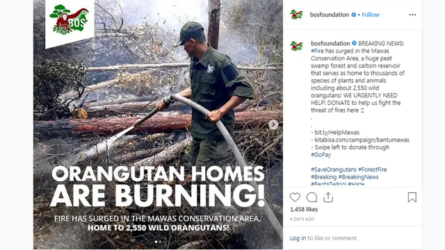 Kawasan Konservasi Mawas