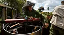 Peternak menggunakan ekstraktor madu di sebuah peternakan di Navajas, Matanzas, Kuba, 21 Maret 2019. Lebah di pegunungan Matanzas menghasilkan madu berkualitas tinggi. (YAMIL LAGE/AFP)