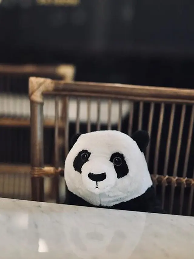 Restoran di Thailand Gunakan Boneka Panda untuk Menjaga Jarak Para Pelanggan