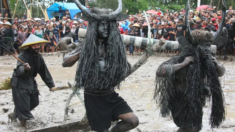 6 Fakta Menarik Tradisi Kebo-Keboan Banyuwangi, Ungkapan Rasa Syukur Petani