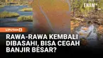 Saat hujan deras, lahan basah menyerap dan menyimpan air. Ketika musim kering datang, air itu dilepas perlahan kembali ke lingkungan. Itulah kenapa lahan basah membantu mengurangi banjir. Saat kekeringan, cadangan airnya tetap menopang ekosistem.