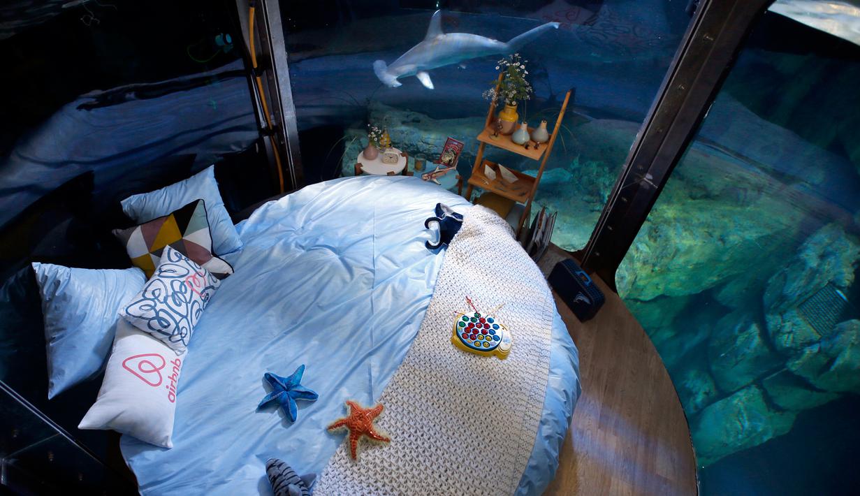 Suasana kamar hotel bawah air Aquarium of Paris, Prancis, 14 Maret 2016. Hotel yang dibuat oleh Airbnb dan Aquarium of Paris tersebut menawarkan sensasi menginap yang menegangkan dan seru. (REUTERS/Charles Platiau)