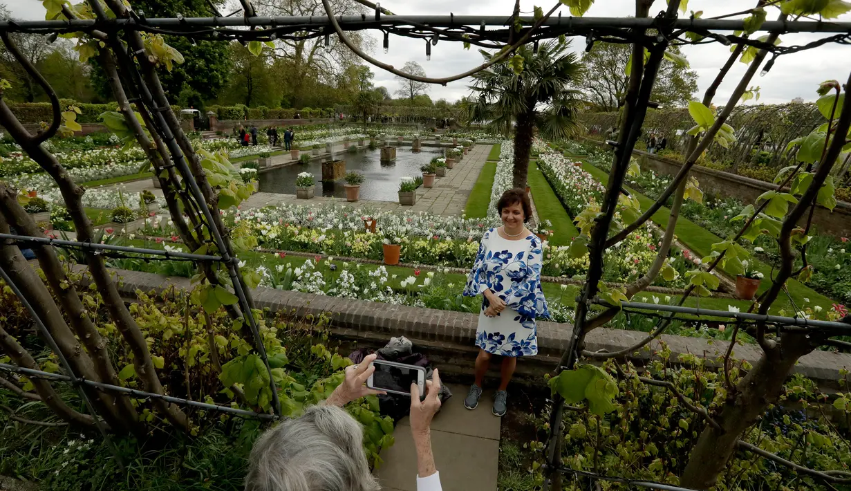 Pengunjung berpose di The White Garden, London, Kamis (13/4). The White Garden dibangun sebagai taman peringatan untuk mengenang Putri Diana. (AP Photo / Matt Dunham)