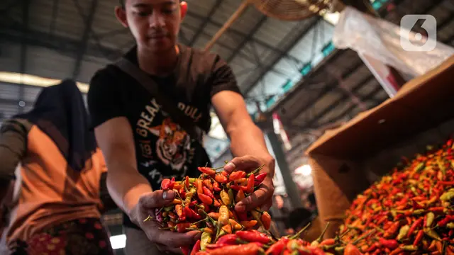 FOTO: Pasokan Menurun, Harga Cabai Rawit Merah Naik