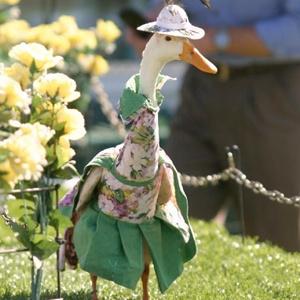 Gaya seekor bebek setelah didandani | Foto: copyright designtaxi.com