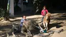 Anak-anak Palestina menunggangi hewan yang telah diawetkan di kebun binatang kawasan Rafah sebelah selatan Jalur Gaza, Selasa (3/1). Menurut pemiliknya, hewan tersebut mati karena ia tidak mampu memberinya makan. (REUTERS / Ibraheem Abu Mustafa)