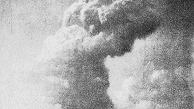 7 Serangan Serangga Paling Menakutkan