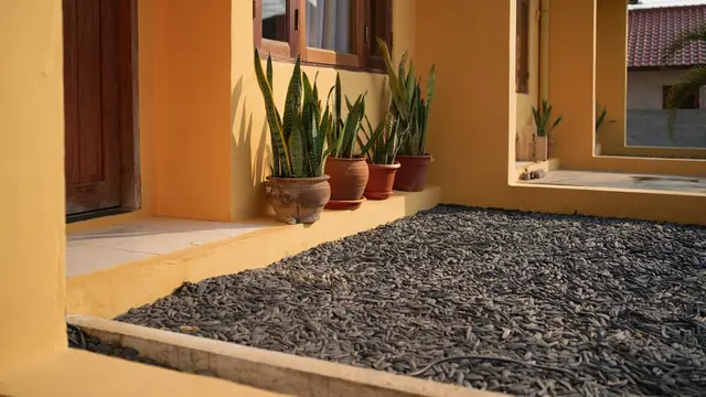 Model Teras Sempit Rumah Subsidi Asri dengan Tanaman Murah