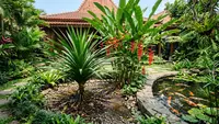 16 Tanaman yang Cocok untuk Rain Garden Tropis, Taman Cantik Anti Genangan