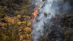 Kebakaran hutan di kawasan Taman Nasional Bromo Tengger Semeru (TNBTS), Kabupaten Probolinggo, Jawa Timur, Kamis (6/8/2026). (AFP/ Juni Kriswanto)