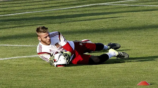 David de gea