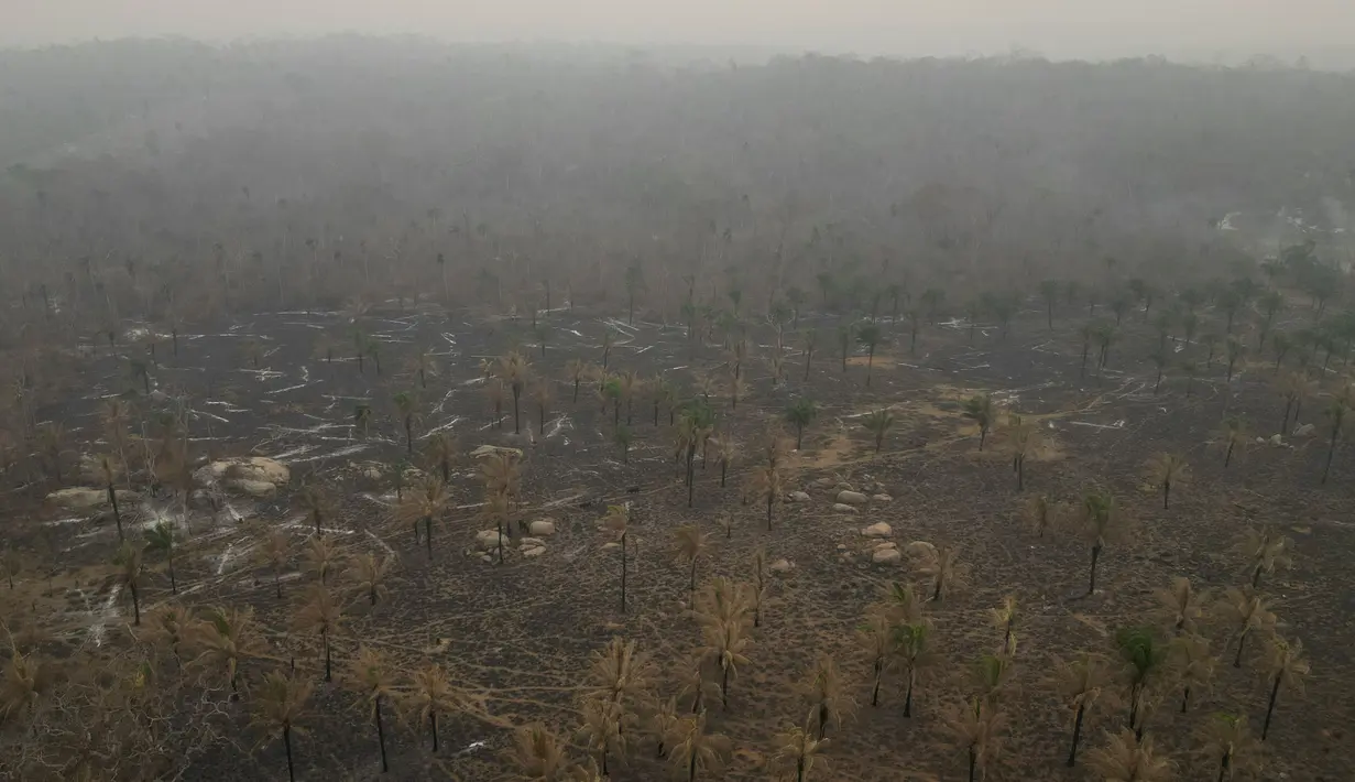 Pemerintah setempat mengumumkan status darurat nasional untuk mengatasi kebakaran hutan ini. (AP Photo/Juan Karita)
