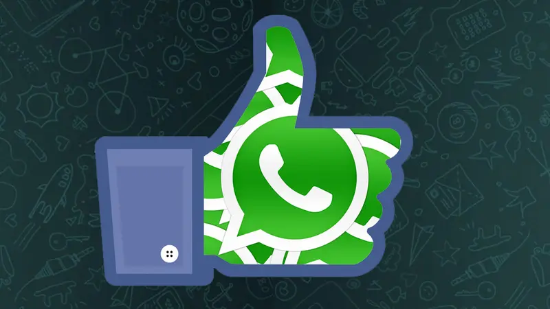 Intip Masa Depan WhatsApp Pasca Dibeli Facebook