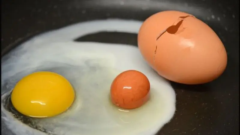 Pasangan Ini Terkejut Temukan Telur di Dalam Telur