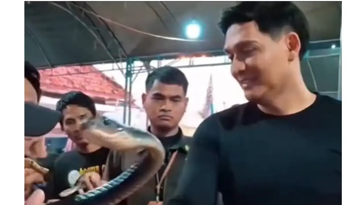 6 Potret Lucky Hakim Lepas Ribuan Ular ke Sawah, Bantu Petani Basmi Hama Tikus