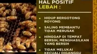 Segmen 3: Sifat Positif Lebah untuk Kehidupan
