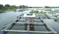 PLN Indonesia Power Injak Gas Transisi Energi Lewat PLTS-BESS dan MRO
