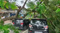 Mobil tertimpa pohon tumbang di Tangerang Selatan (Foto:Liputan6/Pramita Tristiawati)