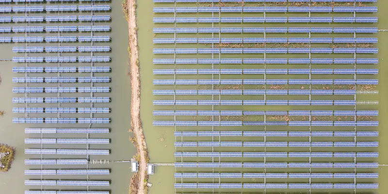 Melihat Panel Surya Fotovoltaik di Wilayah Baoying