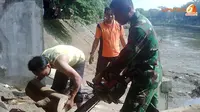 Batang Pohon Pun `Berlabuh` di Ciliwung