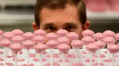 Cokelat berwana pink tanpa pewarna buatan bernama cokelat Ruby ketika diperkenalkan ke publik di pabrik Barry Callebaut, Belgia, Senin (18/9). Cokelat pink ini adalah penemuan baru setelah cokelat susu berwarna cokelat dan putih. (EMMANUEL DUNAND/AFP)