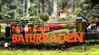 Kebun Raya Baturraden di Kabupaten Banyumas, Jawa Tengah.