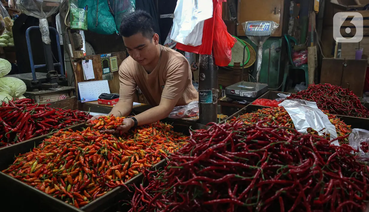 Lodewijk F Paulus juga bahwa menyatakan kecukupan bahan pokok hingga kebutuhan gas, serta bahan bakar menjadi perhatian pemerintah saat ini. (Liputan.com/Angga Yuniar)