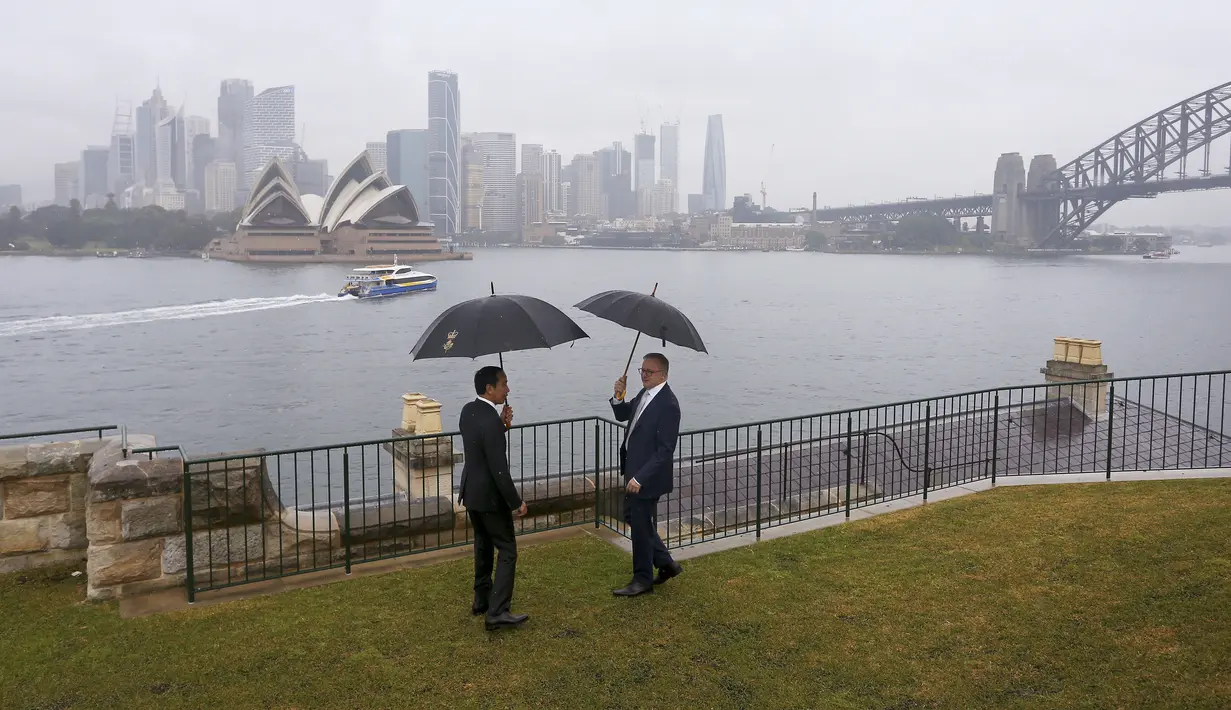 <p>Pertemuan Jokowi dengan Anthony Albanese berlangsung akrab. Di bawah rintik hujan, keduanya menyaksikan Sydney Opera House dari kejauhan. (Lisa Maree Williams/Pool via AP)</p>