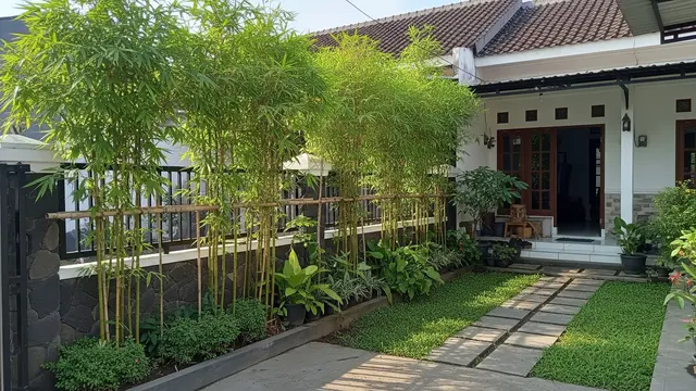 Bambu Jepang untuk Mengurangi Jalur Masuk di Sepanjang Pagar
