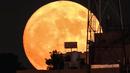 Bulan purnama Sturgeon muncul di atas gedung-gedung di ibu kota Yordania, Amman, pada Kamis (11/8/2022). Bulan Purnama Agustus 2022 akan menjadi fenomena Supermoon terakhir tahun ini. Bulan Purnama Agustus dijuluki "Sturgeon Moon". (YASSER AL-ZAYYAT / AFP)