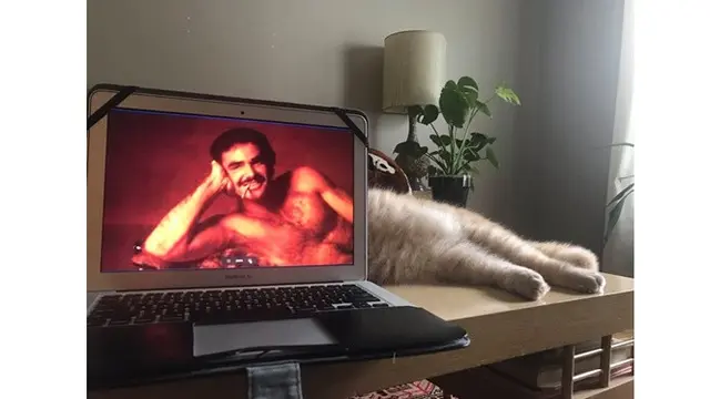 Berkat Timing yang Pas, 7 Foto Ini Terlihat Menarik Banget