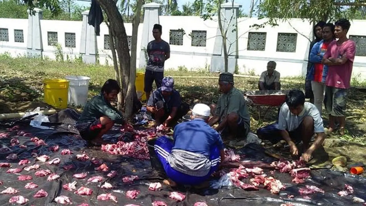 Kemnaker Serahkan 12 Hewan Kurban bagi Masyarakat Lombok