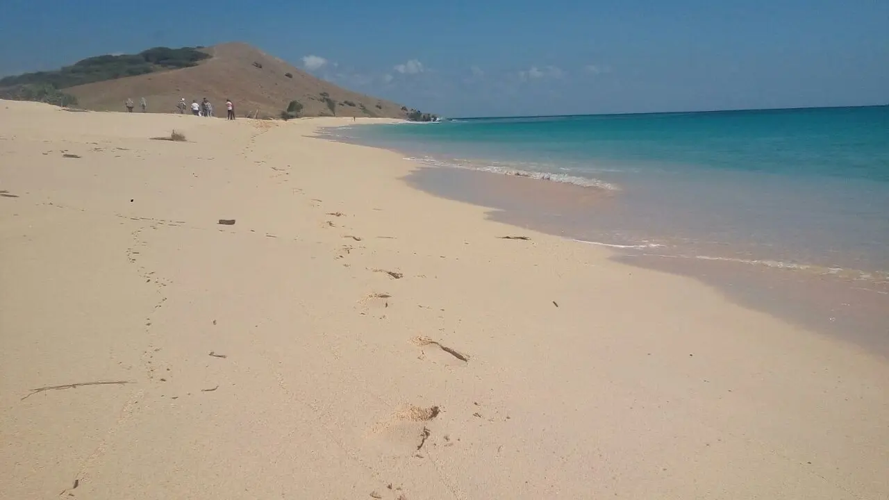 Pemerkosaan