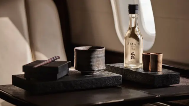 Aman Private Jet Journey