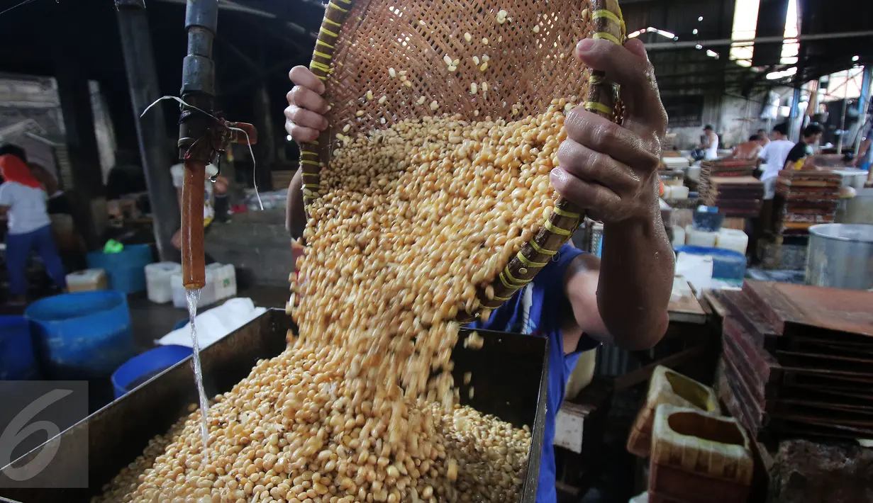 Pekerja tengah mengangkat kacang kedelai untuk dijadikan bahan dasar pembuatan tahu di Jakarta, Rabu (6/1/). Indonesia masih bergantung pada kedelai impor karena minimnya produksi kedelai di dalam negeri. (Liputan6.com/Angga Yuniar)