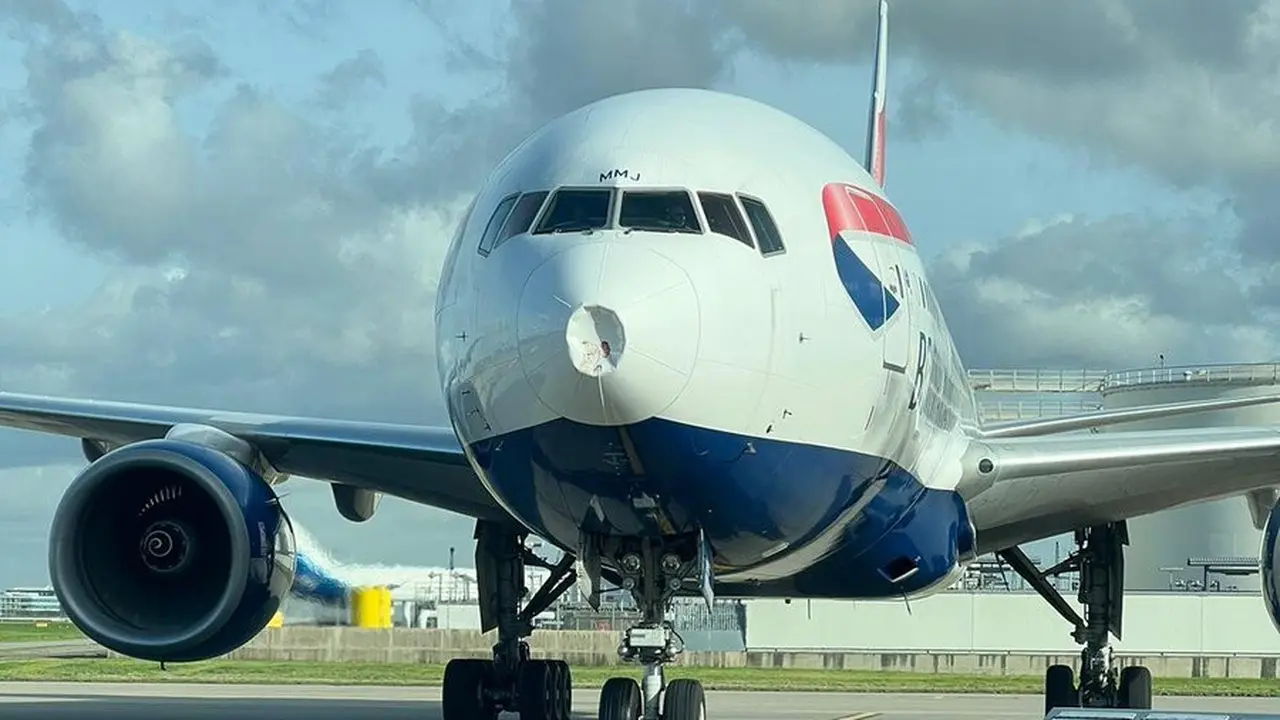 Pesawat yang membawa Queen Consort atau permaisuri Inggris Camilla diduga menabrak burung. (Twitter/FL360aero/MZulqarnainBut)