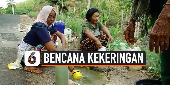 VIDEO: Bencana Kekeringan, Warga Mengais Air Bersih di Pinggir Jalan