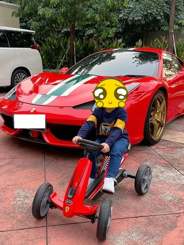 5 Potret Jet Pribadi Harvey Moeis dan Sandra Dewi, Jadi Kado Ulang Tahun Anak